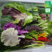 모듬채소 20종 클로렐라 쌈채소 상추 샐러드 유러피안 야채 600g-800g, 1박스, 클로렐라쌈채소 600g