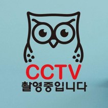 생활스티커 부엉이 CCTV촬영중1 블랙+레드