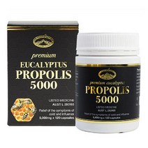 네이쳐스탑 프리미엄 유칼립투스 프로폴리스 5000 120정+사은품, 1병, 120정