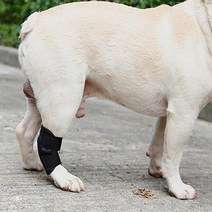 강아지슬개골탈구 포메라니안슬개골 슬개골 수술 탈골 깁스 강아지관절보호대 보호대 1P 강아지무릎보호대, 1애견슬개골보호대 S