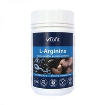 비타핏 엘아르기닌 VITAFIT L-ARGININE 500MG 250정