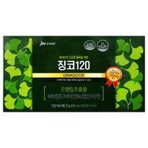 jw중외제약 징코240(120캡슐)-4개월분, 9박스, 120정