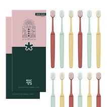 치아성찰 와이드슬림, 2팩, 6개입