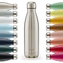 블룸탈 음료수 병 찰스 - 누출 방지 BPA 프리 따뜻한 음료와 차가운 음료의 보온 시간 750ml, 01 - 스테인리스 스틸 - 실버, 500ml