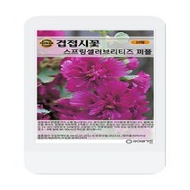 겹접시꽃 스프링셀러브리티즈 퍼플 씨앗 10립 겹접시꽃 꽃씨 두리 씨앗