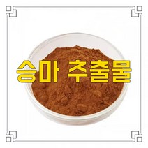 소율국제 승마 지골목 치마노초 추출물 농축 분말 가루, 10:1, 500g, 1개