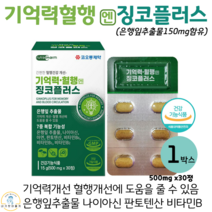 기억력 혈행 징코플러스 은행잎추출물 나이아신 아연 판토텐산 징코 식약처인증, 1박스, 500mg x 30정