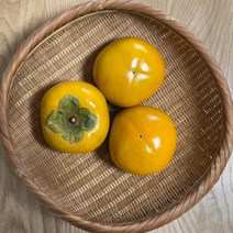 아삭 고당도 창원 태추 단감 배단감 2kg/3kg/5kg, 3kg(13과내외), 1개