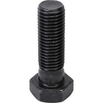 신진화스너 육각볼트(고장력) M36*250 (1EA), 1개