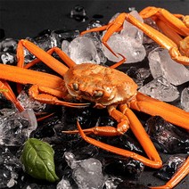 [자연맛남] 포항 구룡포 박달홍게 3마리(중/1미당 400-500g), 상세 설명 참조