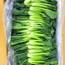 꿀비마켓 비타민 2kg 식자재