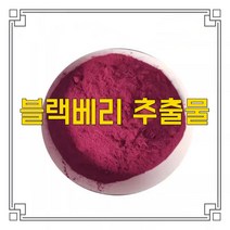 소율국제 블랙베리 고농축 추출물 분말, 30:1, 200g, 1개