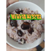 완도산 비파생씨앗 150G1 밥에넣어드시면좋은 비파씨앗, 1개