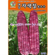 오스템 옥수수씨앗 제일자색찰옥수수 80립, 1개