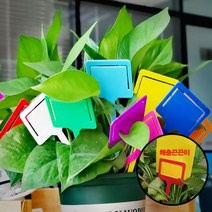 싸다구 팻말 카드 네임 라벨 화단 이름표 나무 291 KK 꽂이 화분 식물, 화이트