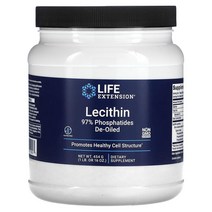 라이프익스텐션 Life Extension Lecithin 레시틴 파우더 454g, 1팩