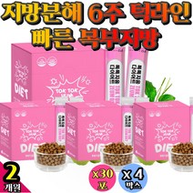 지방분해 6주 턱라인 빠른 복부지방 복부살 늘어진처진 뱃살 빼기 제거 한달 단기 다리살 4주간 하체 가르시니아 지방합성억제 허리살 가르시니아캄보지아 여자 효과좋은 단기 지방컷 3주