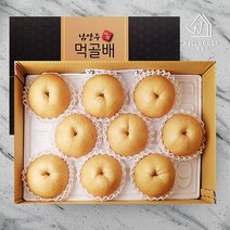 [웰굿]남양주 명품 먹골배 선물세트 5호(7.5kg 8과 왕특과)
