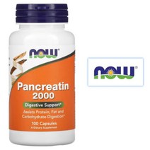 나우푸드 판크레아틴 팜커넬 100캡슐, 1개, 기본