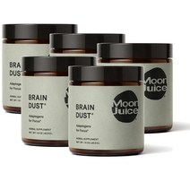 문 주스 브레인 더스트 노루궁뎅이버섯 마카 황기 아슈와간다 징코 분말 42 5g MOON JUICE Brain Dust, 5개