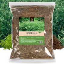 사철쑥 국내산 사철쑥 인진호 500g 쑥차, 1개