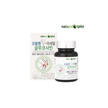 관절앤N-아세틸 글루코사민