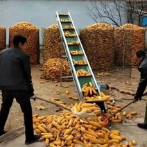 상승 컨베이어밸트 콘베어 택배 화물 상하차 리프트 컨베어 옥수수 농장, 500mm, 스커트가있는 4 미터 접이식 컨베이어 벨트 세트