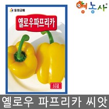 옐로우 파프리카씨앗 20립, 옐로우파프리카