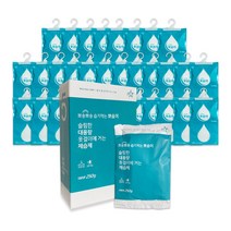 뽀송뽀송 습기먹는 뽀솜이 곰팡이 방지 옷걸이형 제습제 250그램, 250g, 32개