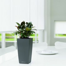 독일 레츄자 맥시 큐비코 플라스틱 화분, 파스텔 바이올렛(유광)