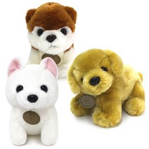 기프트앤돌 프리미엄 리얼펫 강아지인형 아키타 골든리트리버인형, 화이트시바 25cm, 상세페이지 참조