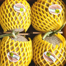 메론 멜론 케이멜론 케이메론 고당도 머스크멜론 머스크메론 2수 4수 6수, 3~4수, 1개