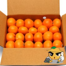 올탑농원 제주 하우스감귤 4.5kg랜덤과/못난이, 4.5kg, 1개