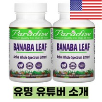 파라다이땡허브 바나바잎 코로솔산 PPAR 약들약 고약사 식물성 캡슐 60개 [2개]