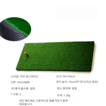골프 연습 장비 타격 스윙 퍼팅 매트 아이언