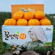 제주 꿀범벅 특고당도 천혜향 4.5kg 중과(20-25)