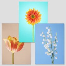 [아트톡] S112. 플라워1 - 인테리어 폼보드 3종 세트액자 (A2 A3 A4 사이즈 )