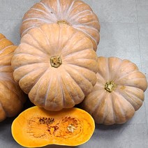 신토불이 국내산 늙은 호박 3kg부터 9kg 이상, 늙은호박_5_6kg내외