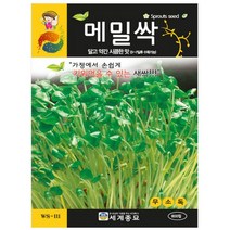새싹메밀싹 씨앗 새싹채소 메밀종자(700립) MK208, 1개