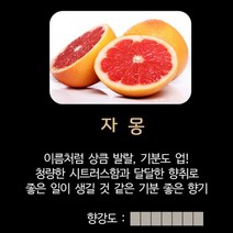 센테이션 메탈 아이원 차량용 방향제 향리필 스틱 디퓨저, 자몽향 리필