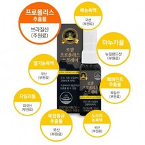 구강건강 로얄 프로폴리스 스프레이 1병 프로폴리스 면역력영양제