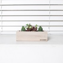 온더콘크리트 천연시멘트 직사각화분, 빈티지브라운