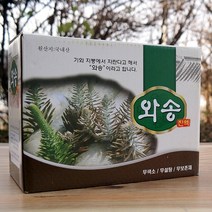 와송즙 엑기스 60포 생와송 건강즙10 + 사은품 탑송 바위솔 기와솔 둥근바위솔 연화바위솔생 단백질 베타카로틴 비타민 식이섬유 엽산 인 철분 칼슘 화분 아연 피부 와송효능 선물세트, 2박스, 100ml