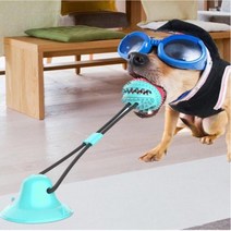 강아지 흡착판 터그놀이 치석제거 장난감, 상품선택