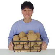 국내산 카스테라 옛날 수미 감자, 10kg / 상 / 80-110g