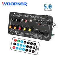 GPS재방사 Woopker 서브우퍼 블루투스 오디오 앰프 보드 듀얼 마이크 앰프 모듈 8-12 인치 스피커용 120W 1, 04 AU Plug