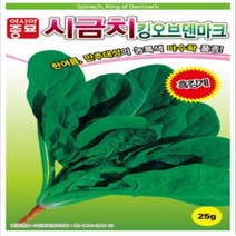 아시아종묘 시금치씨앗 킹오브덴마크 시금치 (25g)