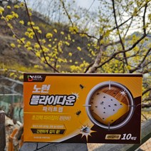 모니최 파리 끈끈이 해충트랩 초파리덫 1갑 10개입, 1+1갑(20입)