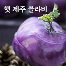 (100%국내산최상급) 햇 제주 콜라비 특품 3kg 5kg 10kg 농장직송, 1. 콜라비 3kg