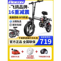 전기자전거접이식 가성비전기자전거 삼륜 접이식 세발 전기자전거 비행 비둘기 전기 자전거 새로운 리튬 배터리 작은 남성과 여성 초경량 휴대용 운전 특수, [14] [익스트림 에디션] 20A- 배터리 수명 80, [01] 48V, [01] 0아